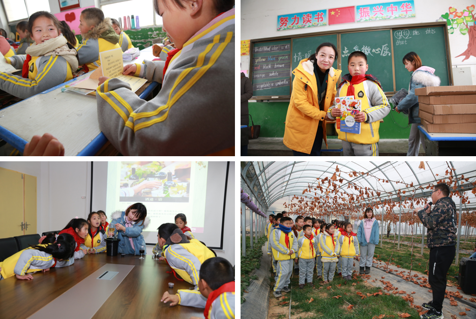 4c649d4dafdf45e2bdb8abfa0db296ae.png 4c649d4dafdf45e2bdb8abfa0db296ae.png