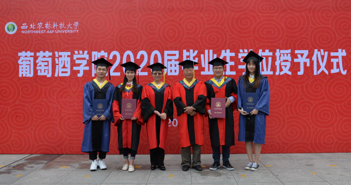 24175b56a067480baefd129ee0850a3d.png 24175b56a067480baefd129ee0850a3d.png