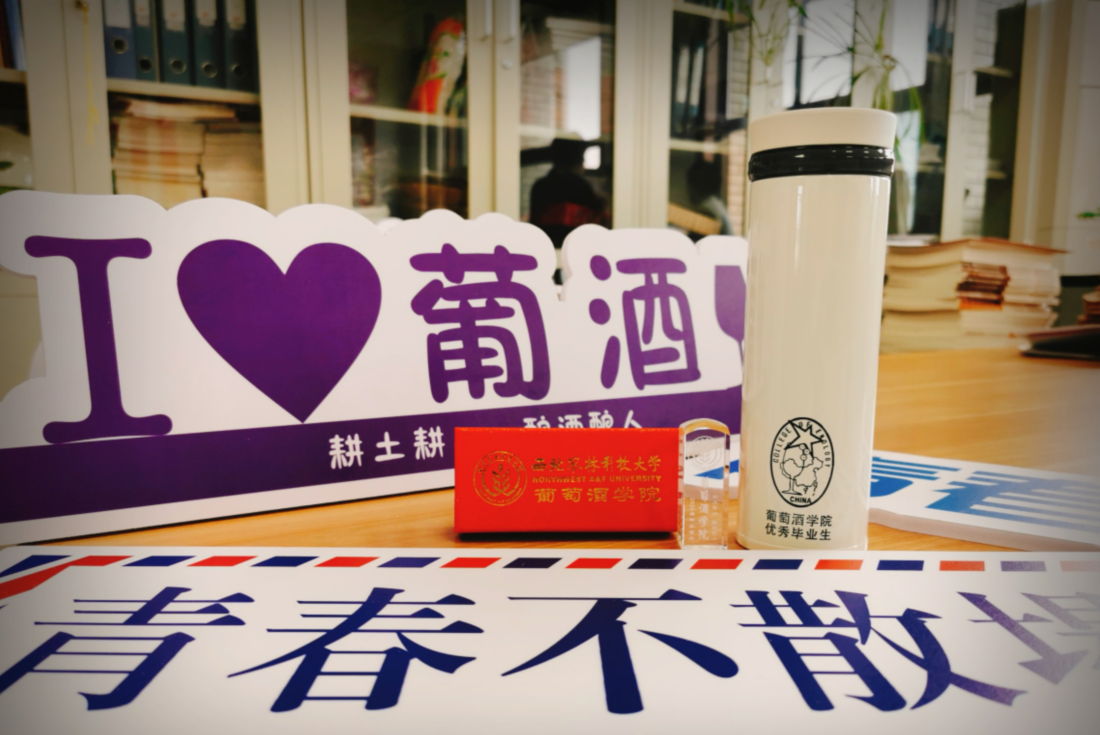 75fa5e9bdfb245059cd935eae66fe252.png 75fa5e9bdfb245059cd935eae66fe252.png