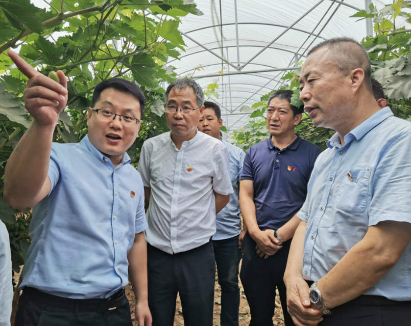 a29da3cb1ded416a8cd10f66c23eee00.png a29da3cb1ded416a8cd10f66c23eee00.png