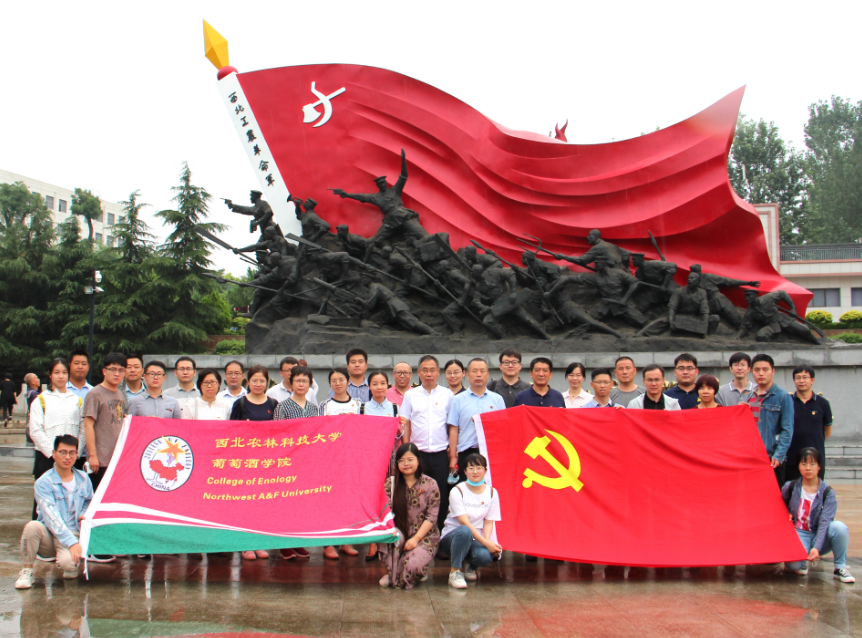 f21f7be25a3143708f885659a0d77d3a.png f21f7be25a3143708f885659a0d77d3a.png