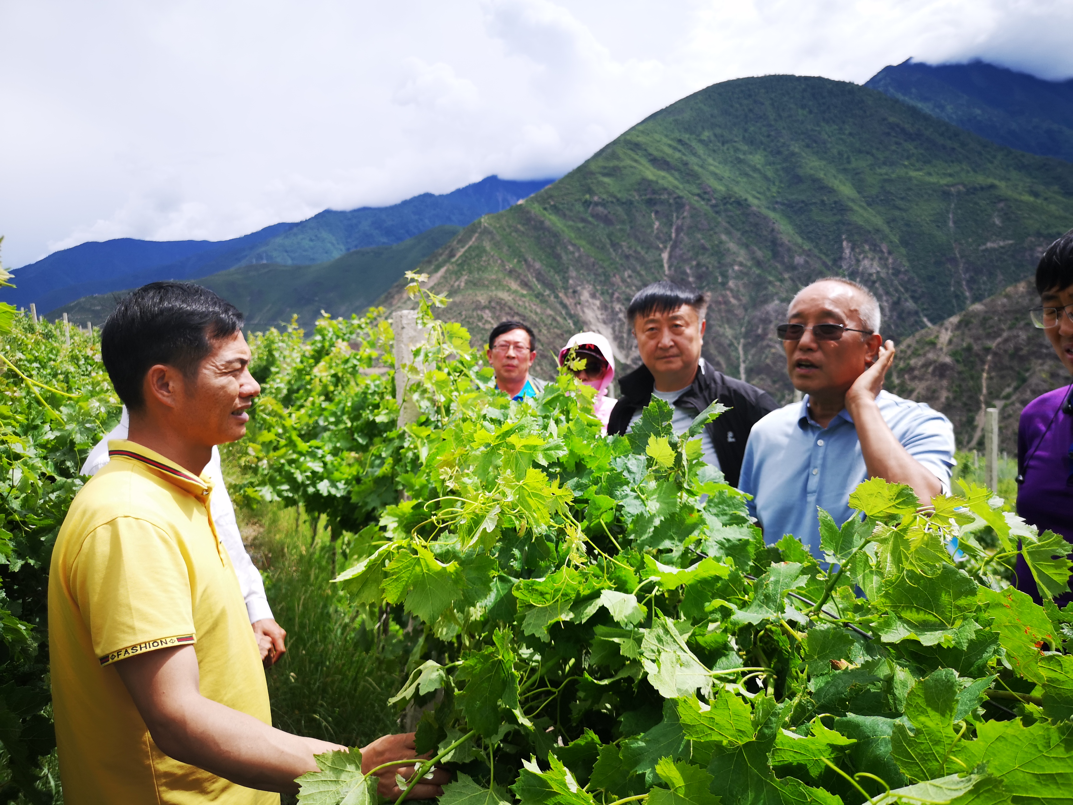 9d095e3d656b40d796528aff49d9ebe0.jpg 9d095e3d656b40d796528aff49d9ebe0.jpg