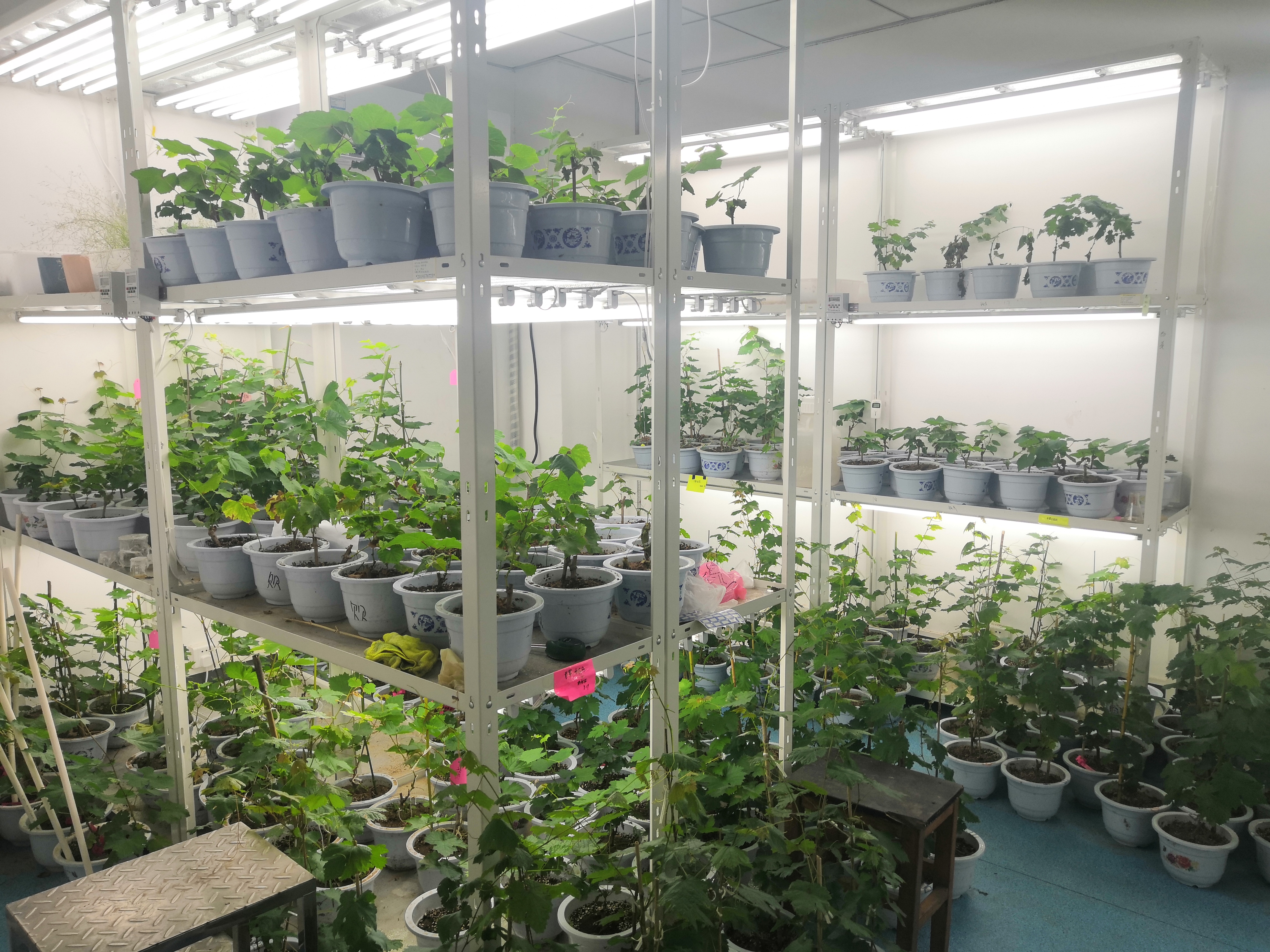 c169ea4dab0a4e7ca642aaf96abd7914.jpg c169ea4dab0a4e7ca642aaf96abd7914.jpg