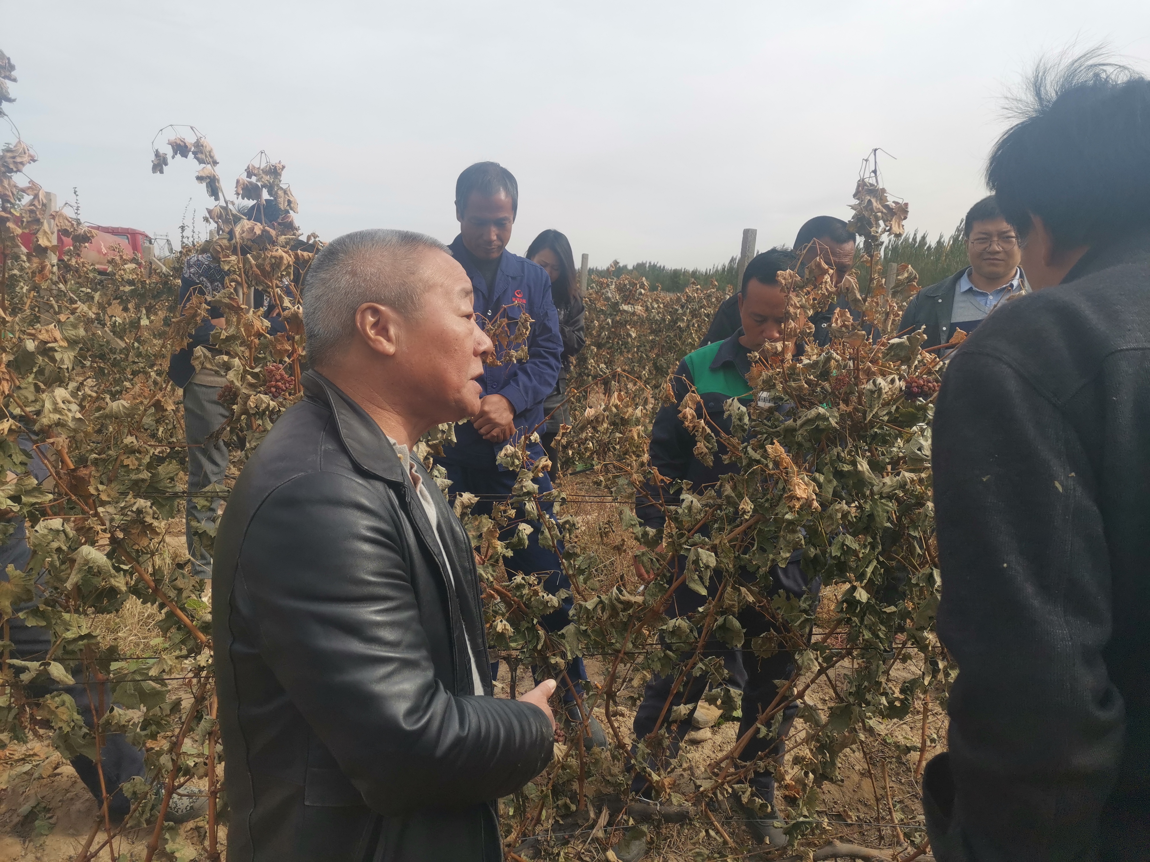 696e426d211b4d0d8b93bac1f980cb10.jpg 696e426d211b4d0d8b93bac1f980cb10.jpg