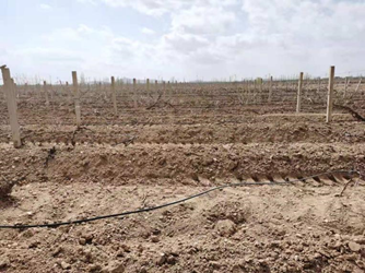 1d12700982fe43fb967e5473092cfd5a.png 1d12700982fe43fb967e5473092cfd5a.png